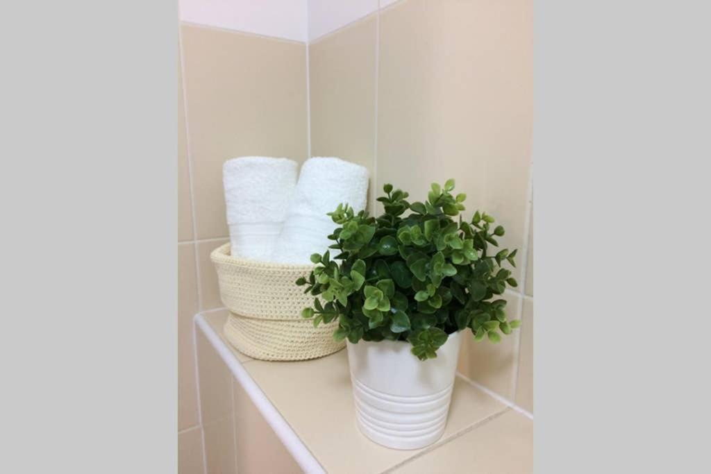 Apartman Podbaba